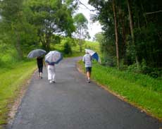 Photo of 3 people walking on road with umbrellas